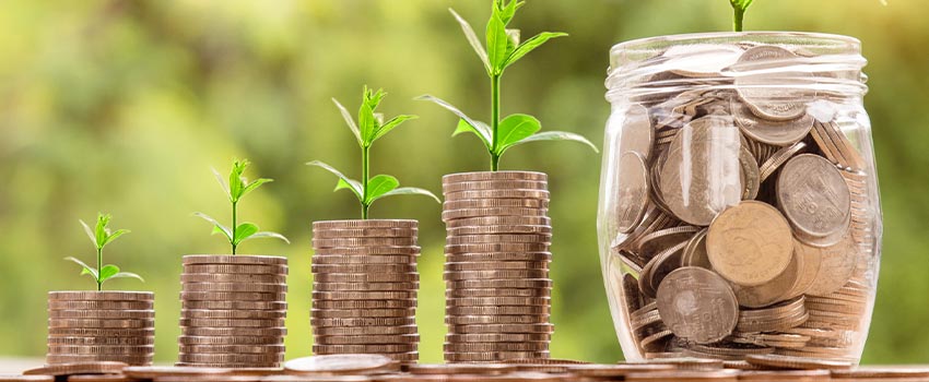 Investments can grow like plants if looked after accordingly